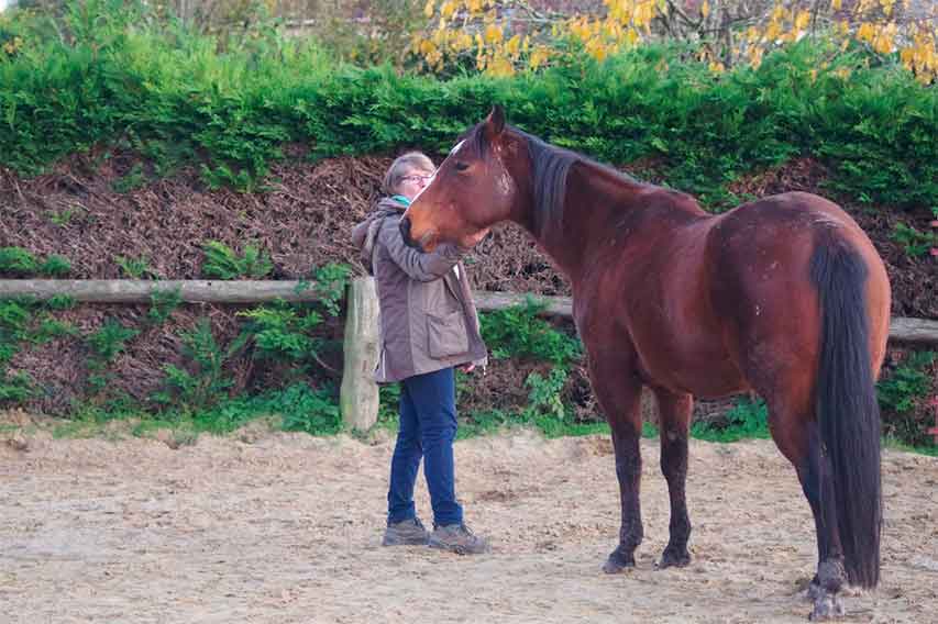 Le cheval, guérisseur de l’homme