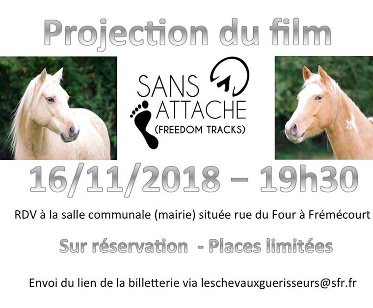 Projection film « Sans Attache »