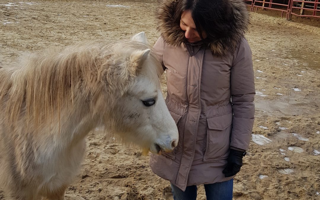 l’instinct naturel du cheval