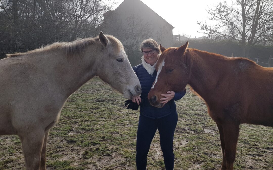 Se ressourcer avec les chevaux