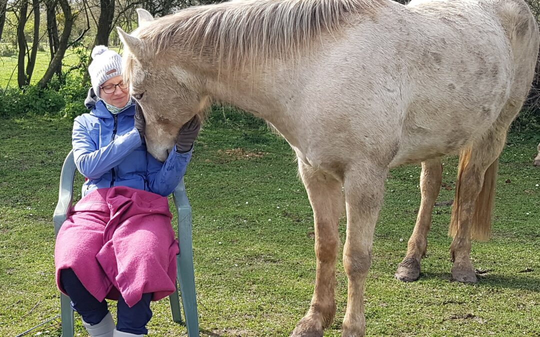 Retour sur l'atelier "se ressourcer avec les chevaux"