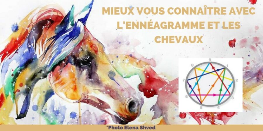 L'ennéagramme et les chevaux @ EQUINOXE