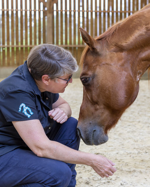 témoignages gage de reconnaissance la puissance des chevaux. mission de faire connaître leur alchimie accompagner des personnes. ces cadeaux me remplit de gratitude. mon burn out permis de les rencontrer donné le courage de changer ma vie. Merci