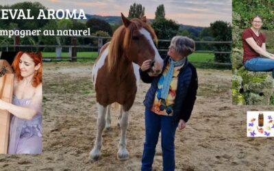 CHEVAL AROMA