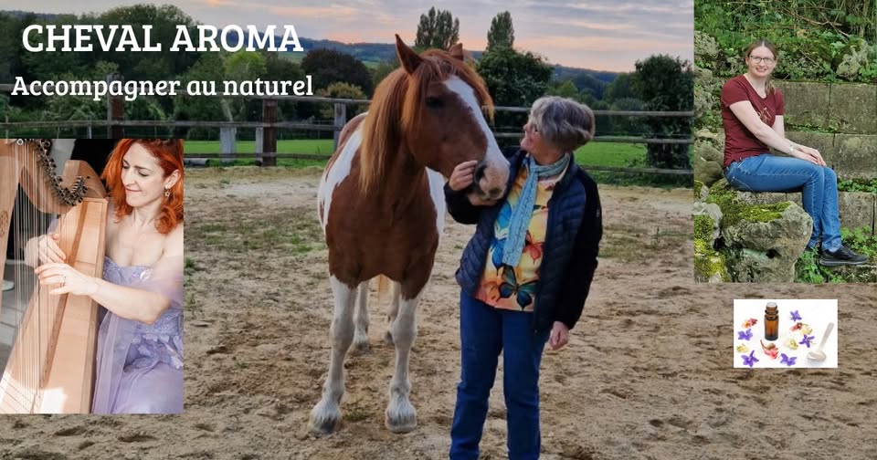 decouverte atelier aromathérapie equicoaching bien être- laurence equi libre